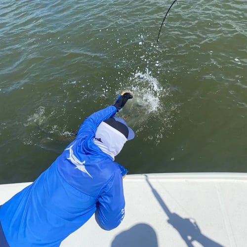 Backwater Tarpon, Snook, & Jacks In Carolina