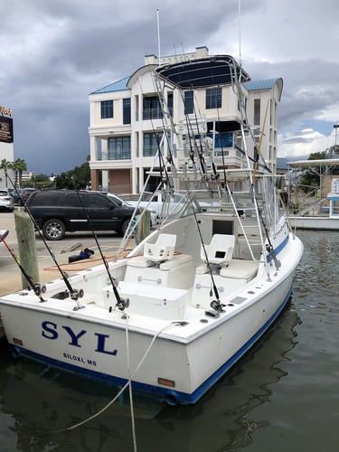 Red Snapper Fishing in Biloxi