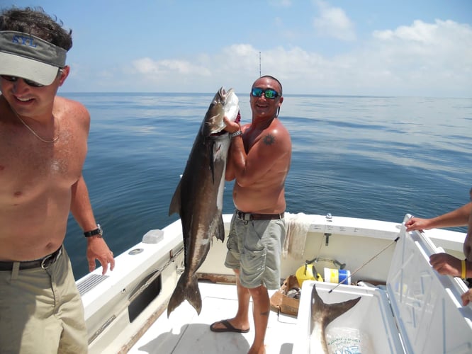 Wreck & Oil Rig Fishing In Biloxi