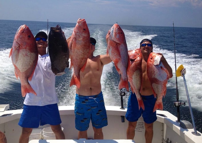 Red Snapper Fishing in Biloxi