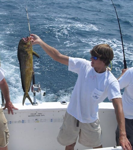 Wreck & Oil Rig Fishing In Biloxi