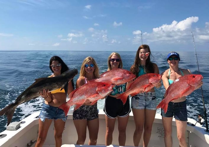 Red Snapper Fishing in Biloxi