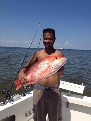 Wreck & Oil Rig Fishing In Biloxi