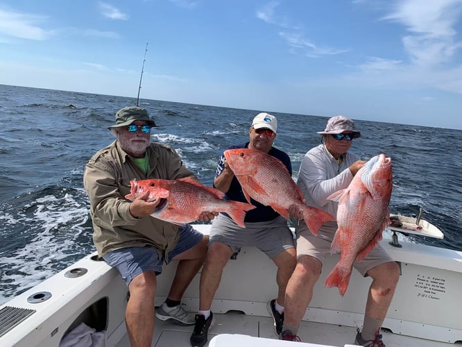 Red Snapper Fishing in Biloxi