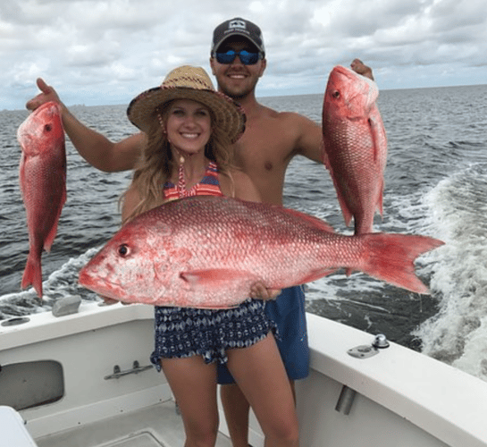 Red Snapper Fishing In Biloxi