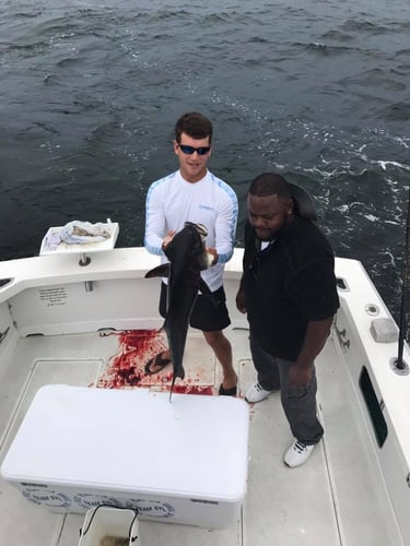 Wreck & Oil Rig Fishing In Biloxi