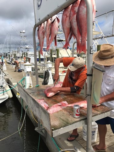 Red Snapper Fishing in Biloxi