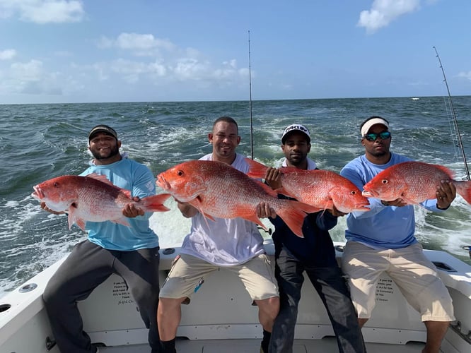 Red Snapper Fishing in Biloxi