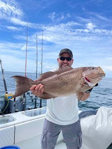 Venice Offshore Adventure In Boothville-Venice