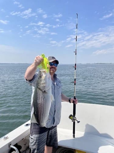 Striper Trolling Trip In Port Washington