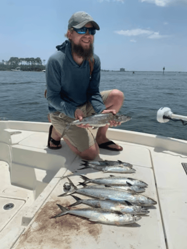 Bay Fishing Bonanza In Pensacola