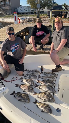 Bay Fishing Bonanza In Pensacola