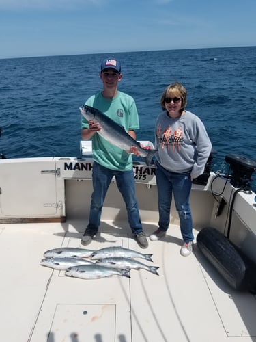 Milwaukee Sportfish Trip In Milwaukee