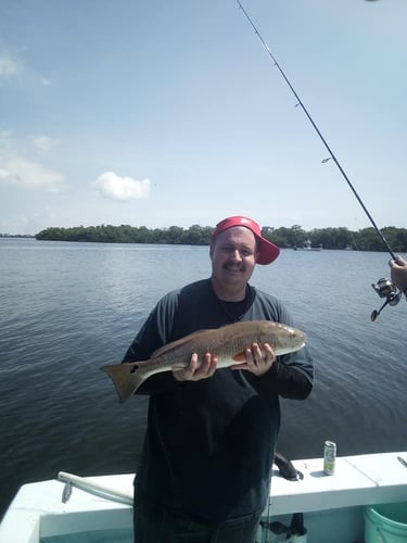 Holmes Beach Fishing Frenzy In Holmes Beach