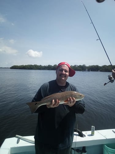 Holmes Beach Fishing Frenzy In Holmes Beach