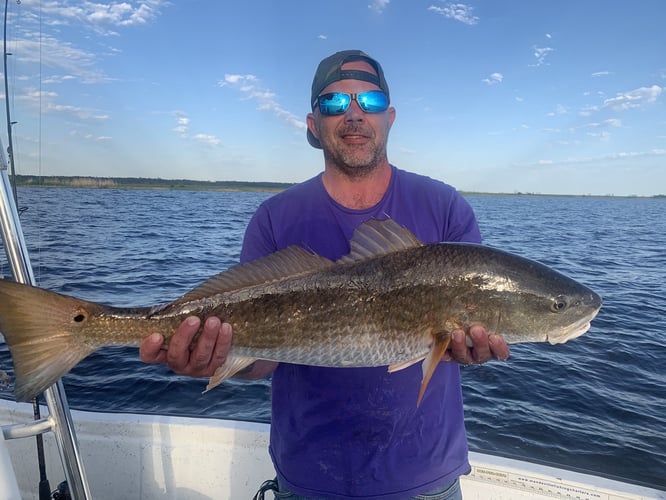 Lake Pontchartrain Gar Trip In Mandeville