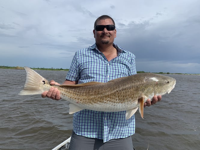 Lake Pontchartrain Gar Trip In Mandeville