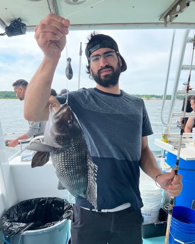 Big Fish With Your Big Group In Port Washington