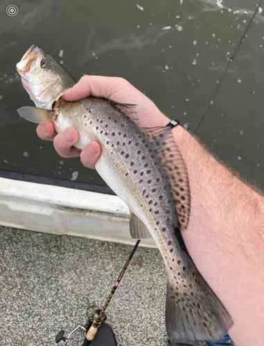 Fishing The Aquarium In New Orleans