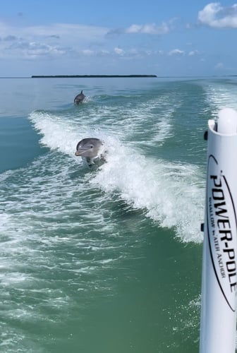 Islamorada Flats And Backcountry In Tavernier