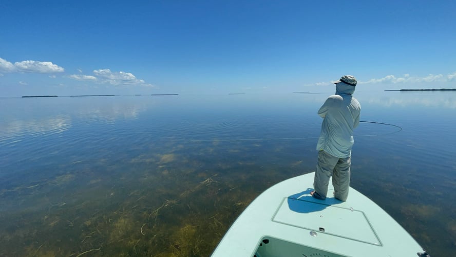 Islamorada Flats And Backcountry In Tavernier