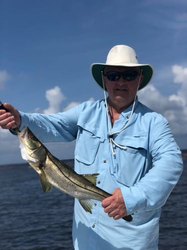Slammin' Snook, Reds, And More In Placida