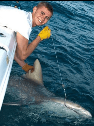 Shark & Bull Drum Fishing In Mount Pleasant