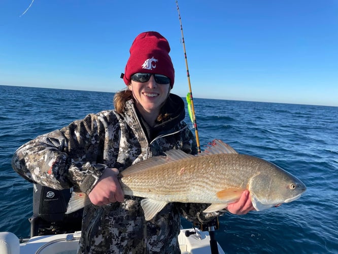 Shark & Bull Drum Fishing In Mount Pleasant