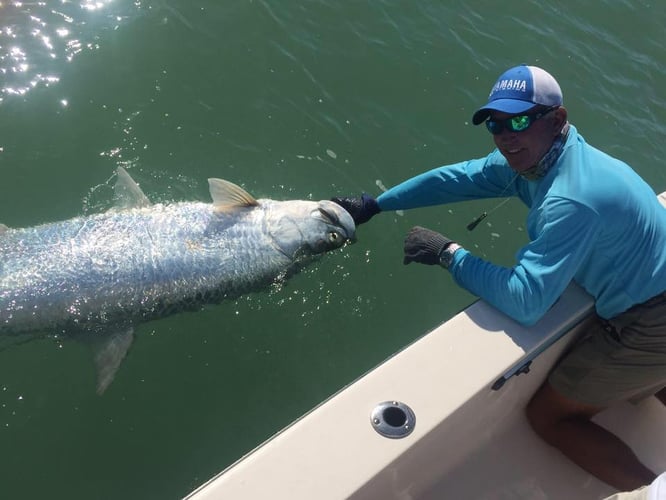 Boca Grande Tarpon Hook-Up In Bokeelia