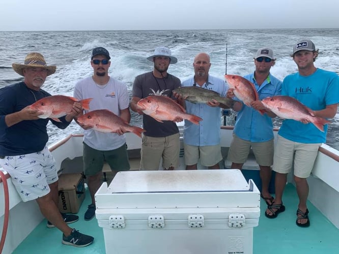 Panama City Snapper Special In Panama City