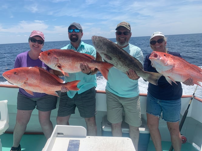 Panama City Snapper Special In Panama City