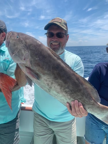 Panama City Snapper Special In Panama City