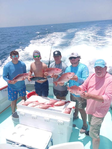 Panama City Snapper Special In Panama City