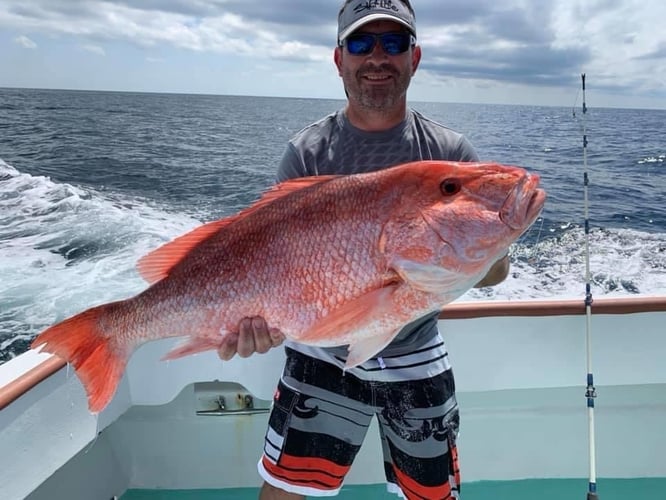 Panama City Snapper Special In Panama City