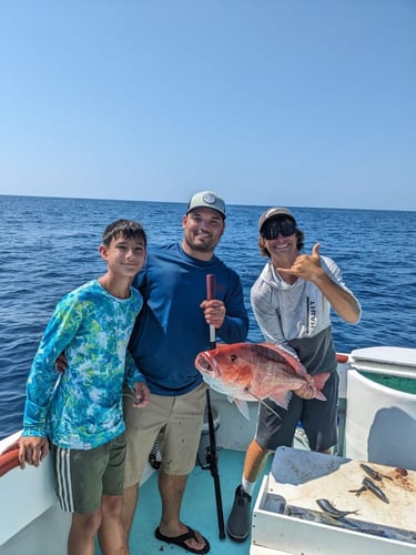 Panama City Snapper Special In Panama City