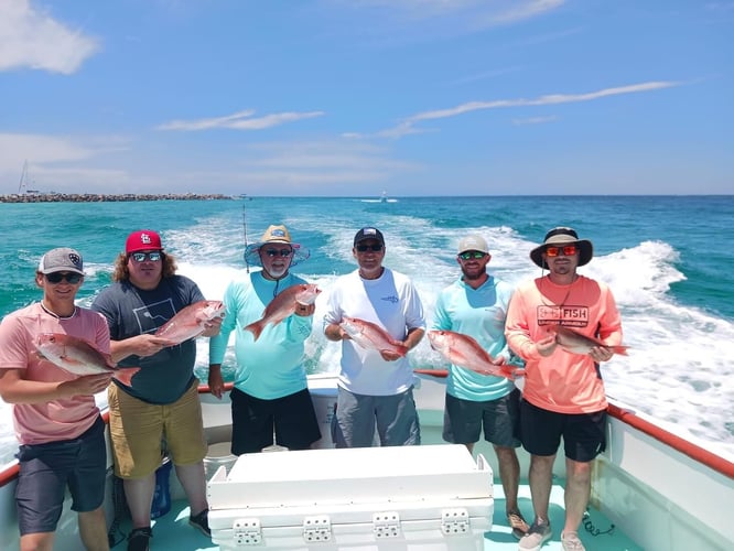 Panama City Snapper Special In Panama City