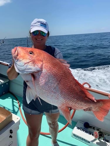 Panama City Snapper Special In Panama City