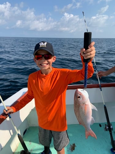 Panama City Snapper Special In Panama City