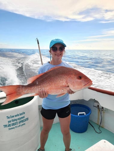 Panama City Snapper Special In Panama City