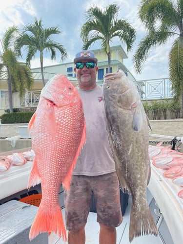 Inshore/Nearshore Max-Out In Tierra Verde