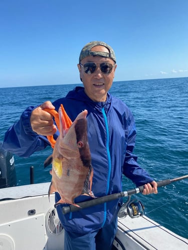 Hogfish Trip - 35' Contender In Tierra Verde