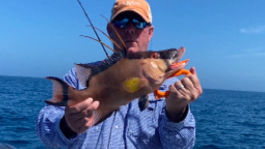 Hogfish Trip - 28' In Tierra Verde