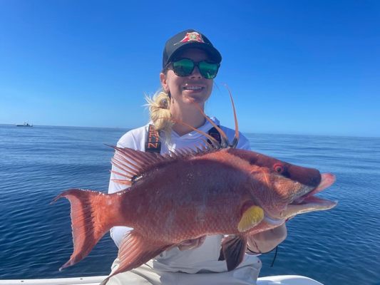 Hogfish Trip - 28' In Tierra Verde