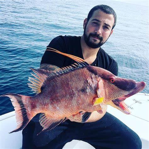 Hogfish Trip - 28' In Tierra Verde