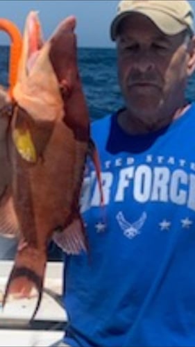 Hogfish Trip - 28' In Tierra Verde