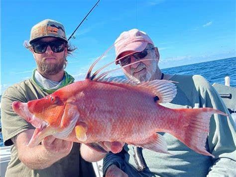 Hogfish Trip - 35' Contender In Tierra Verde