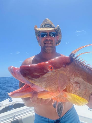 Hogfish Trip - 28' In Tierra Verde