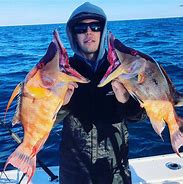 Hogfish Trip - 35' Contender In Tierra Verde