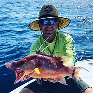 Hogfish Trip - 35' Contender In Tierra Verde