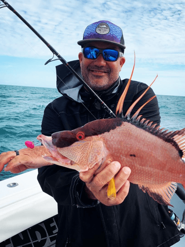 Hogfish Trip - 28' In Tierra Verde